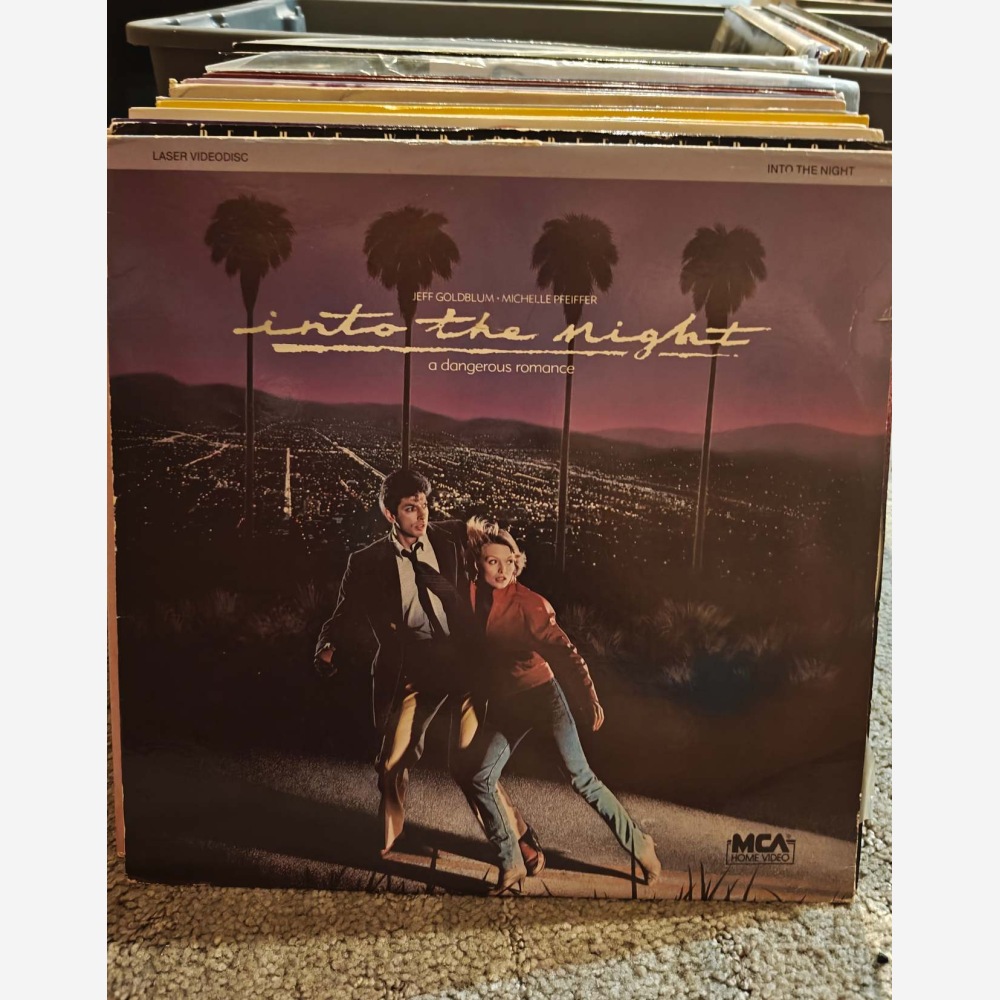 Into the Night cover
